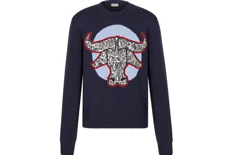 dior and shawn sweater|Dior And Shawn Sweater Navy Blue Men's .